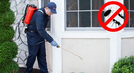 Karamanlı Böcek ve Haşere İlaçlama böcek ilaçlama ve haşere kontrolü — ilaclama-tr.com